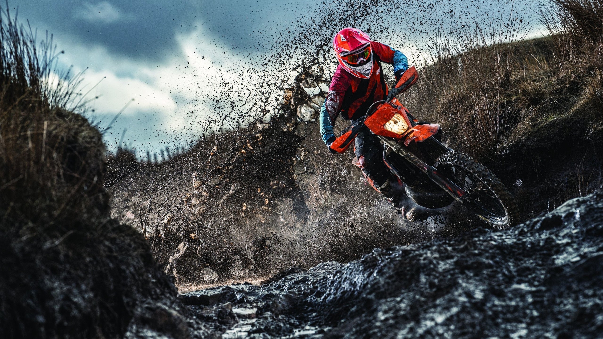 季后赛爆冷瞬间:黑马队伍开启奇迹之旅!,lol黑马战队